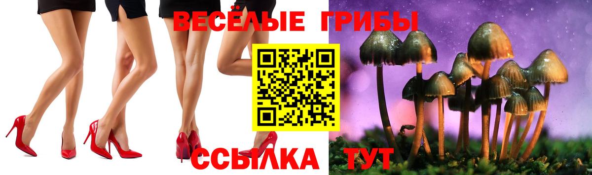 Галлюциногенные грибы ЛСД  Вход с VPN  Галлюциногенные грибы GOLDEN TEACHER  Дербент 